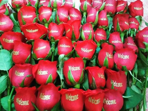 Photos by Artist Shoppie